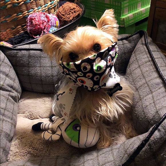 💋Meet Your Seller💋 - Picture 4 of 6